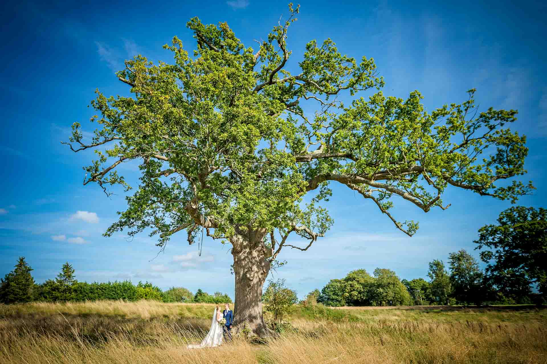 Bride and Groom standing underneath large tree in sunshine for wedding portrait
